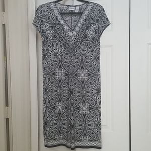 Chico's Print Dress